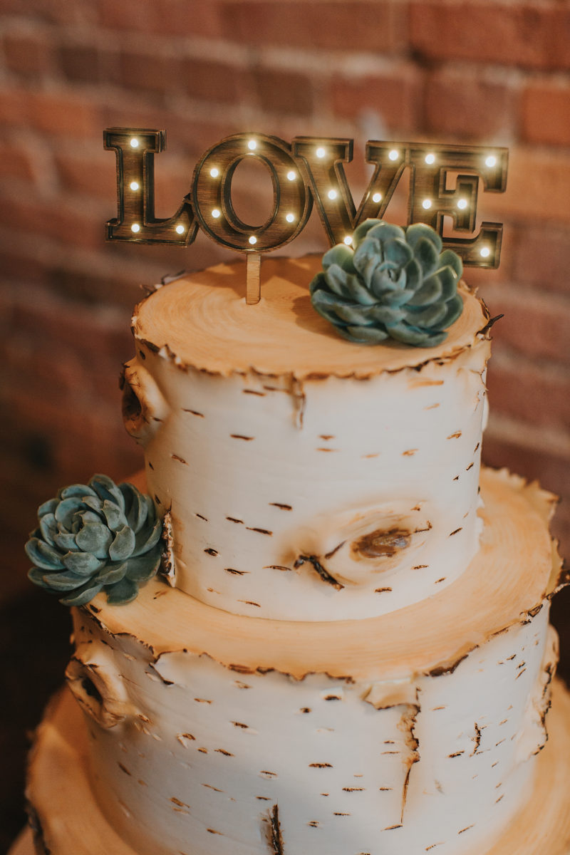 Birch tree bark wedding cake with light up love cake topper and succulents