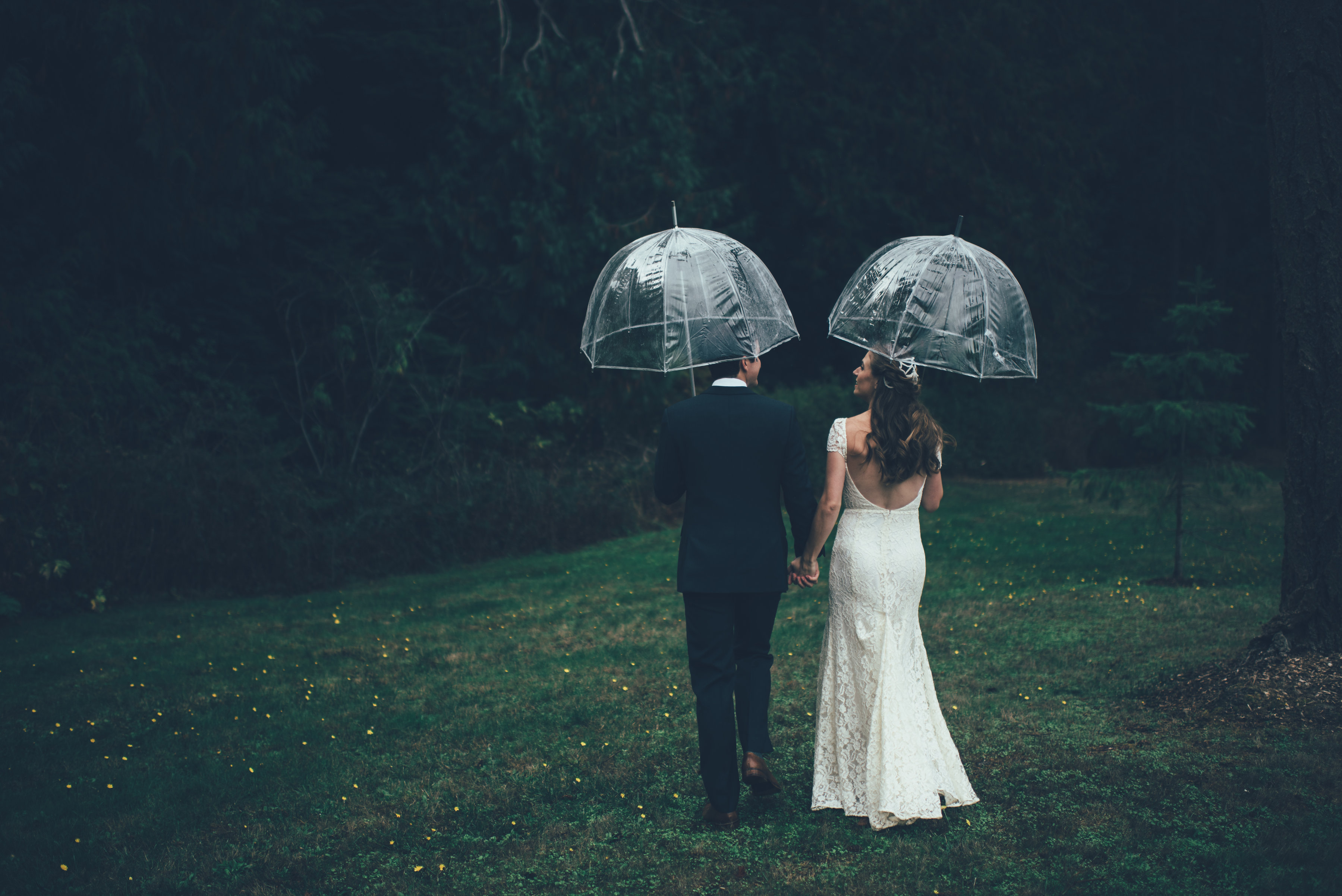 Bride and Groom walking with clean umbrellas on their Fall wedding day